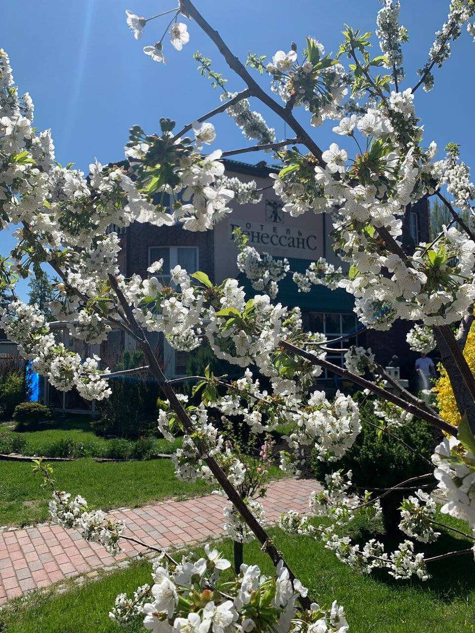 Фото Гостиницы Ренессанс Зеленоградск 7
