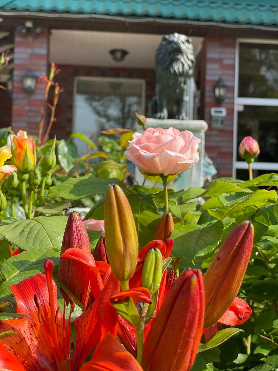 Фото Гостиницы Ренессанс Зеленоградск 110