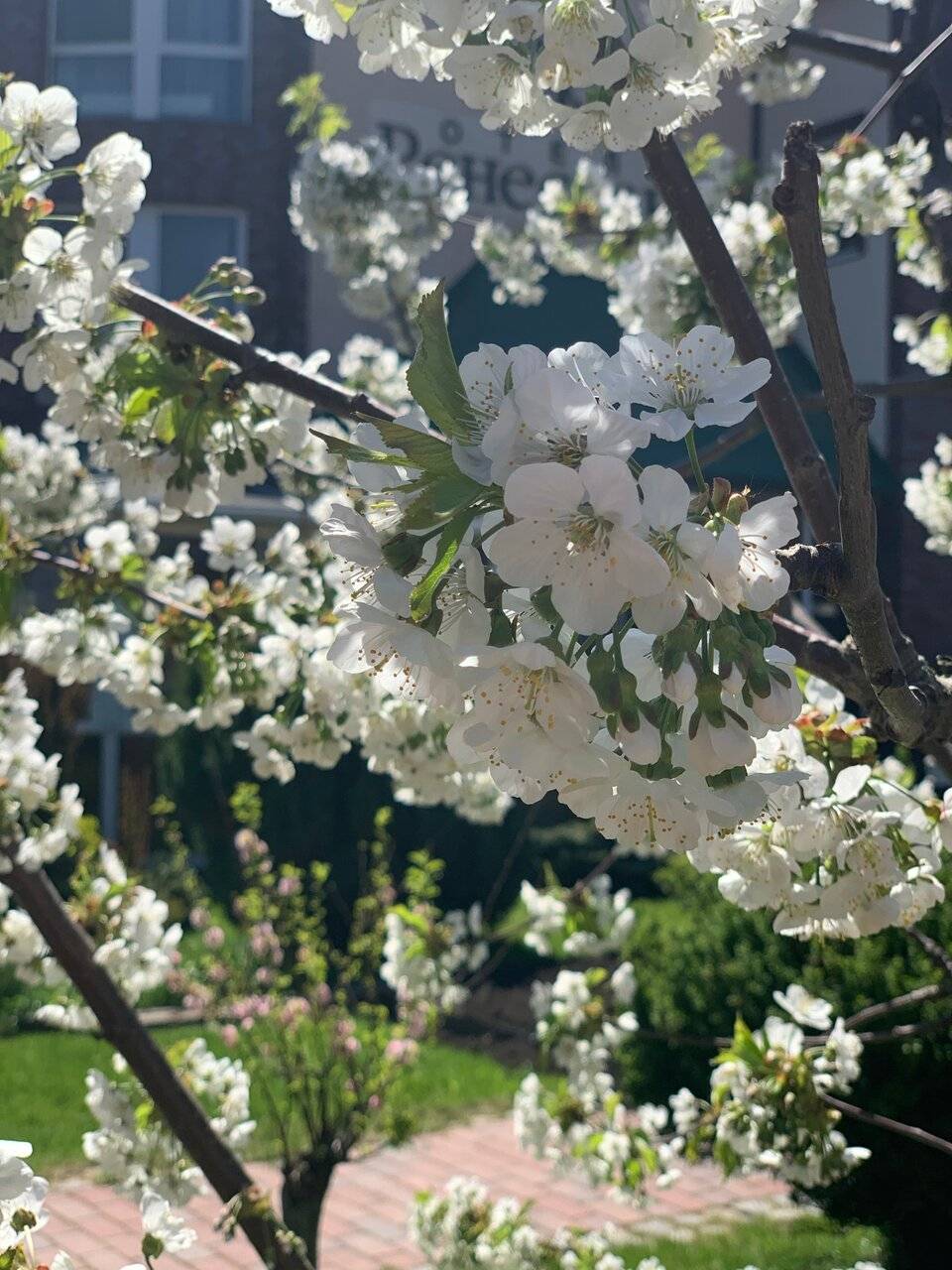 Фото Гостиницы Ренессанс Зеленоградск 8