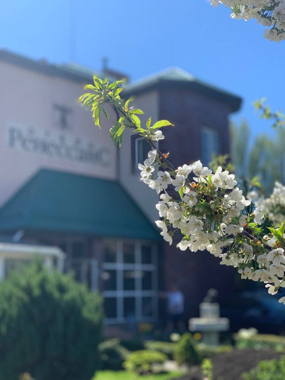 Фото Гостиницы Ренессанс Зеленоградск 3