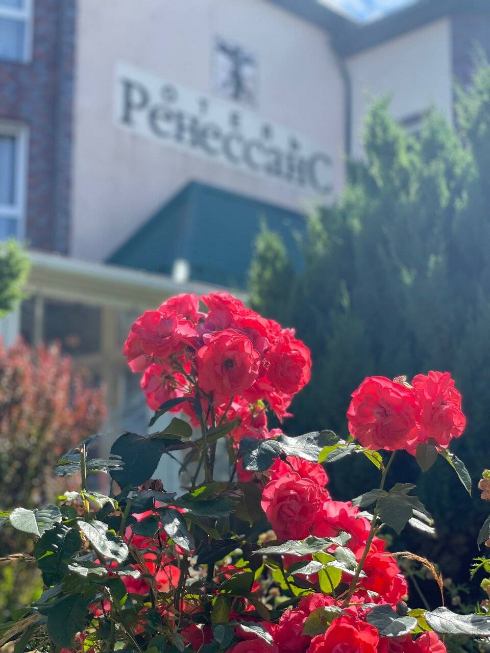 Фото Гостиницы Ренессанс Зеленоградск 71